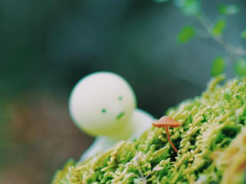 shi.shi.co