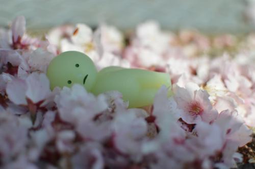 korokoromama22