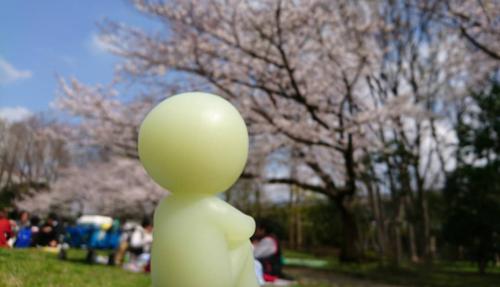 kumakiko_0316